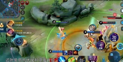 张大仙皮肤爆料视频大全,揭秘热门英雄新装风采  第3张